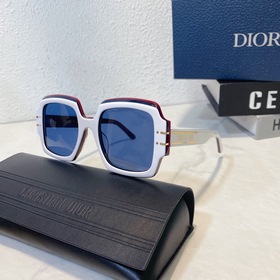 DIOR Модель： DIOR Signature S1U Размер： 55 x 22 x 145