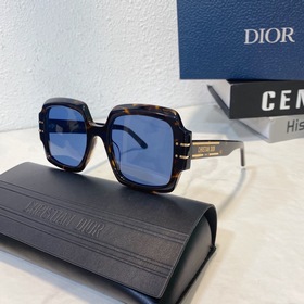 DIOR Модель： DIOR Signature S1U Размер： 55 x 22 x 145