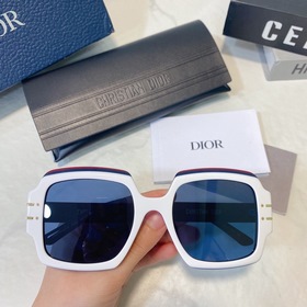 DIOR Модель： DIORSignature S1U Размер： 55х22-145