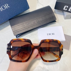 DIOR Модель： DIORSignature S1U Размер： 55х22-145