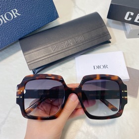 DIOR Модель： DIORSignature S1U Размер： 55х22-145