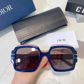 DIOR Модель： DIORSignature S1U Размер： 55х22-145