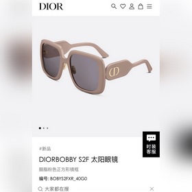 DIORDIORBobby S2F