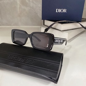 Популярный DIOR Wildior S2U Размеры： 53-18-145