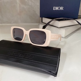 Популярный DIOR Wildior S2U Размеры： 53-18-145