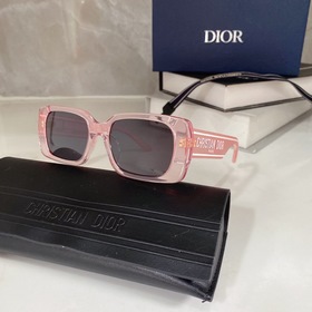 Популярный DIOR Wildior S2U Размеры： 53-18-145