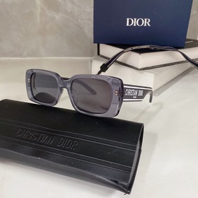 Популярный DIOR Wildior S2U Размеры： 53-18-145