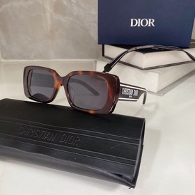 Популярный DIOR Wildior S2U Размеры： 53-18-145