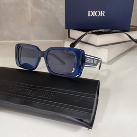 Популярный DIOR Wildior S2U Размеры： 53-18-145