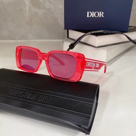 Популярный DIOR Wildior S2U Размеры： 53-18-145