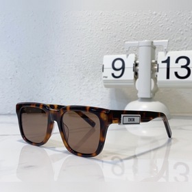 DIOR Модель： DIORB23 S11 Размер： 53 x 19 x 145
