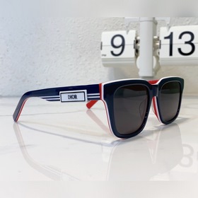 DIOR Модель： DIORB23 S11 Размер： 53 x 19 x 145