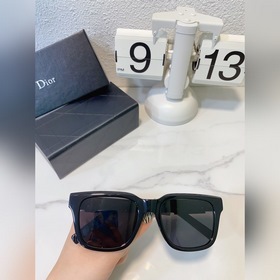 DIOR Модель： DIORB23 S11 Размер： 53 x 19 x 145