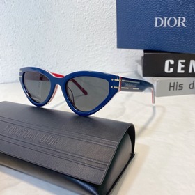 DIOR Diorsignafure B2U Размер： 54 x 20 x 145