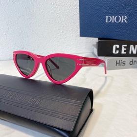 DIOR Diorsignafure B2U Размер： 54 x 20 x 145