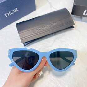 DIOR Diorsignafure B2U Размер： 54 x 20 x 145