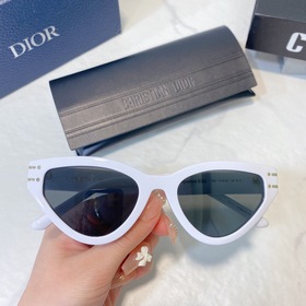 DIOR Diorsignafure B2U Размер： 54 x 20 x 145