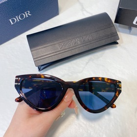 DIOR Diorsignafure B2U Размер： 54 x 20 x 145