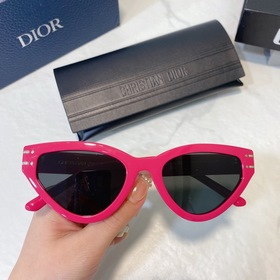 DIOR Diorsignafure B2U Размер： 54 x 20 x 145