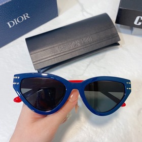 DIOR Diorsignafure B2U Размер： 54 x 20 x 145