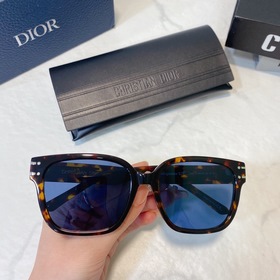 DIOR Diorsignafure S7F Размер： 58 x 18 x 145