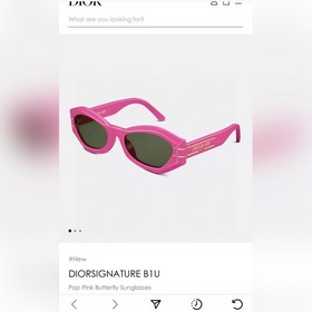 DIOR Модель： DIOR Signature B1U Размер： 61 x 16-130