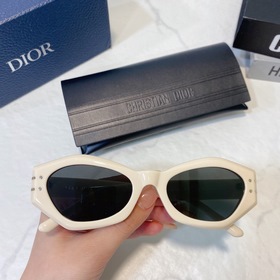 DIOR Diorsignafure B1U Размер： 55 x 21 x 145