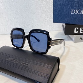 DIOR Diorsignafure S1U Размер： 54 x 21 x 145