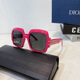 DIOR Diorsignafure S1U Размер： 54 x 21 x 145