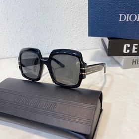DIOR Diorsignafure S1U Размер： 54 x 21 x 145