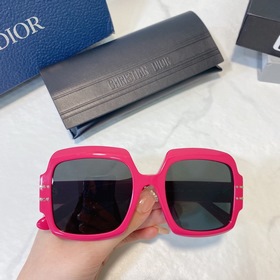 DIOR Diorsignafure S1U Размер： 54 x 21 x 145