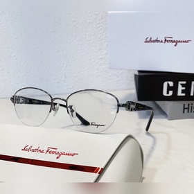 Salvatore Ferragamo SF2539 Размер： 52 мм, 18-140