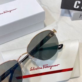 Salvatore Ferragamo SF2539 Размер： 52, 18-140