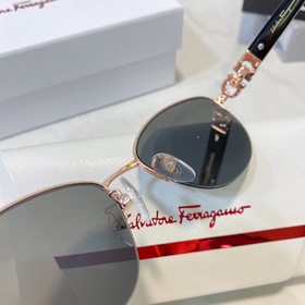 Salvatore Ferragamo SF2539 Размер： 52, 18-140