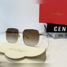 Salvatore Ferragamo SF9037 Размер： 55-21-145