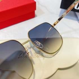 Salvatore Ferragamo SF9037 Размер： 55-21-145