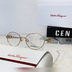 Salvatore Ferragamo *-SF3539 Размер： 53 мм, 18-140