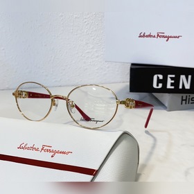 Salvatore Ferragamo *-SF3539 Размер： 53 мм, 18-140