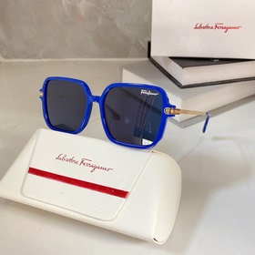 Salvatore Ferragamo   Модель： SF9050 Размер： 56/17-145