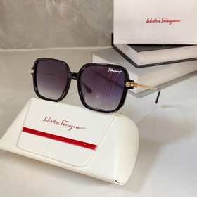 Salvatore Ferragamo   Модель： SF9050 Размер： 56/17-145
