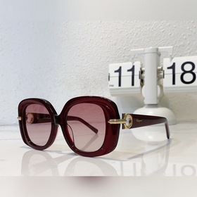 Salvatore Ferragamo  Модель： SF1058 Размер： 51*20*145