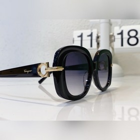 Salvatore Ferragamo  Модель： SF1058 Размер： 51*20*145