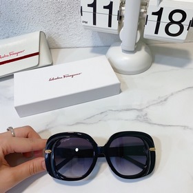 Salvatore Ferragamo  Модель： SF1058 Размер： 51/20-145
