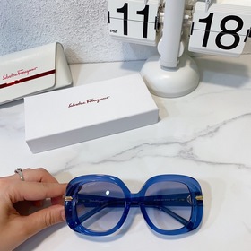 Salvatore Ferragamo  Модель： SF1058 Размер： 51/20-145