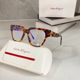 Salvatore Ferragamo SF2893 Размер： 54-20-145
