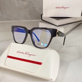 Salvatore Ferragamo SF2893 Размер： 54-20-145