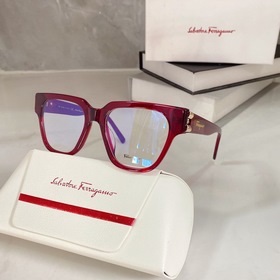 Salvatore Ferragamo SF2893 Размер： 54-20-145