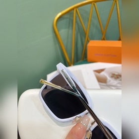 LOUIS VUITTON   Модель： Z 1495U Детали