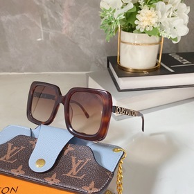 LOUIS VUITTON Модель： Z869 Размер： 46х28-145