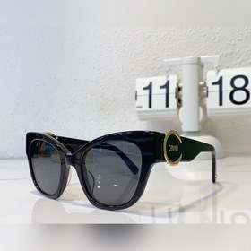 Roberto Cavalli Модель： RC 1080C Простой логотип, модный универса